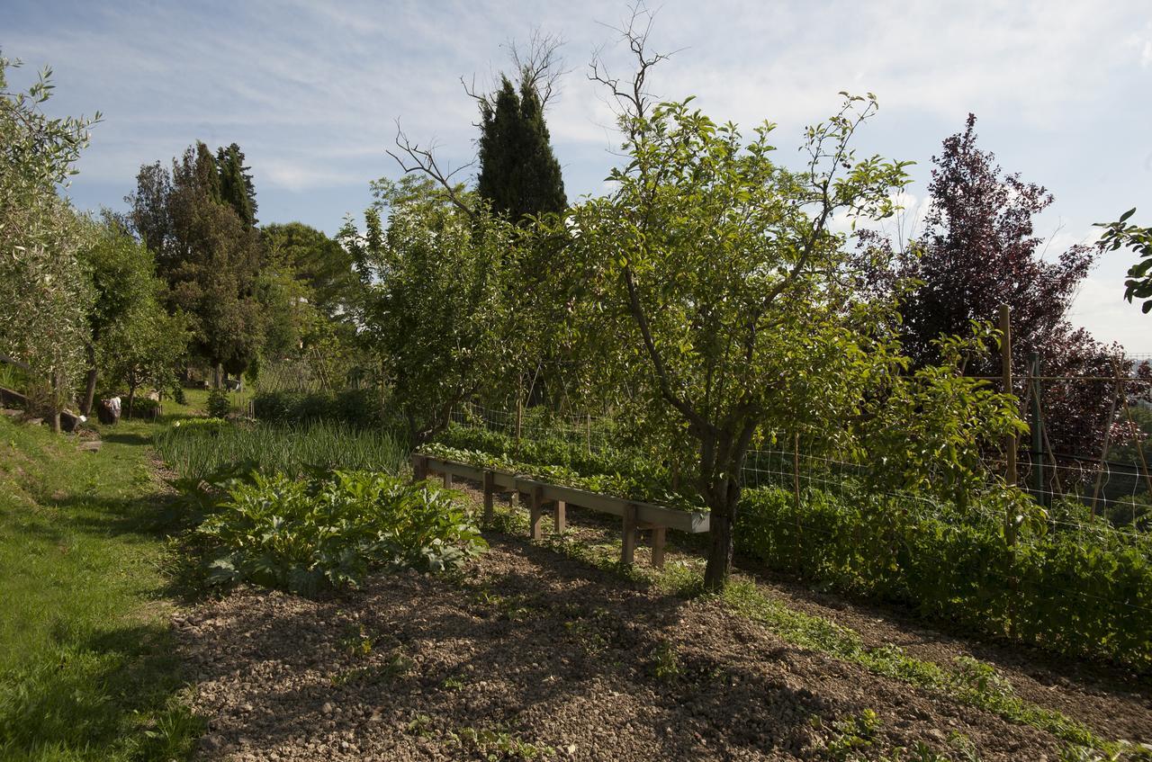 Tenuta Cambiano By Posarellivillas Castelfiorentino Exterior photo